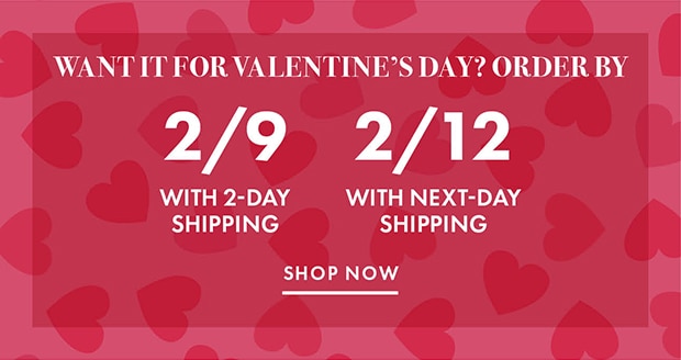 SHOP NOW 