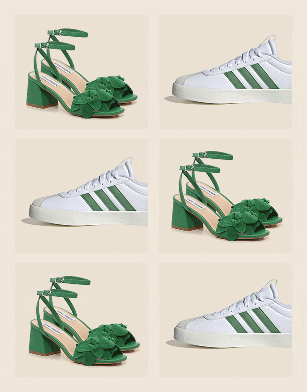 Newsletter content from dsw