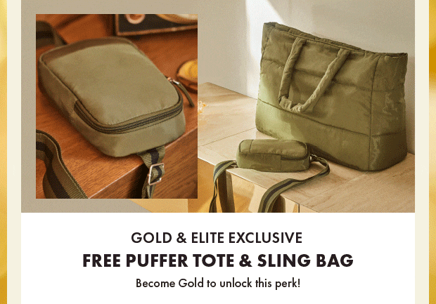 Dsw duffle bag coupon store