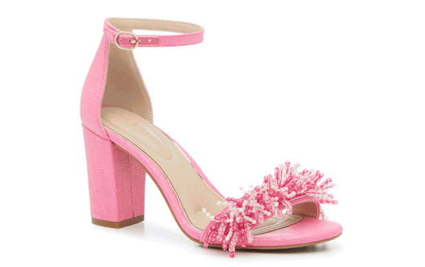 Newsletter content from dsw
