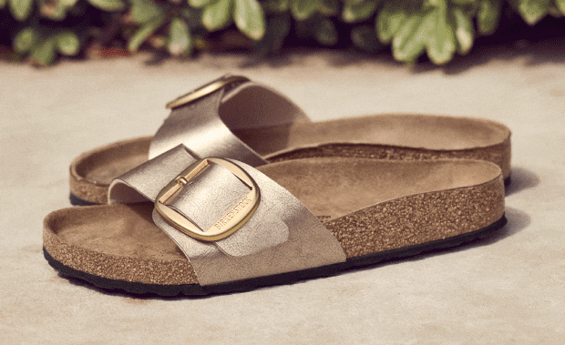 Newsletter content from dsw