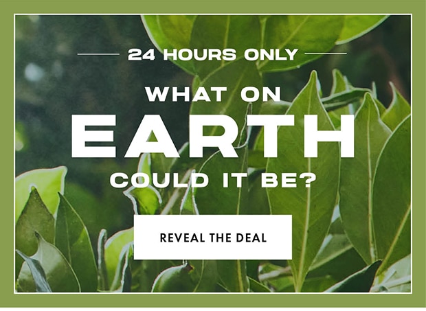 REVEAL THE DEAL