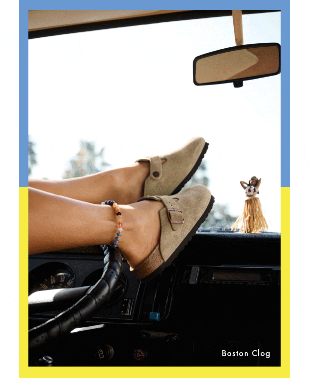 Newsletter content from dsw