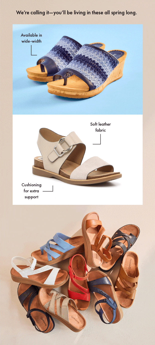 Newsletter content from dsw