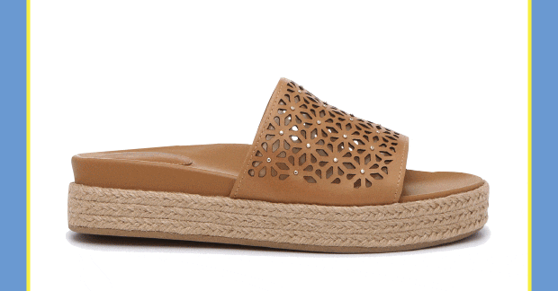 Newsletter content from dsw