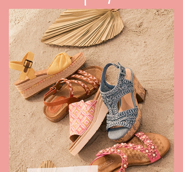 Newsletter content from dsw