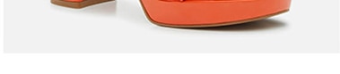 Newsletter content from dsw