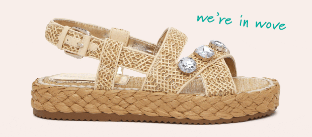 Newsletter content from dsw