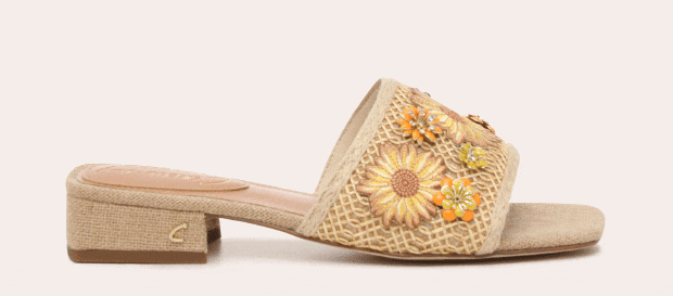 Newsletter content from dsw