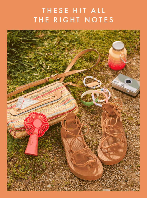 Newsletter content from dsw