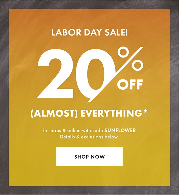 DSW 20 OFF ALMOST EVERYTHING Campaign Buzz