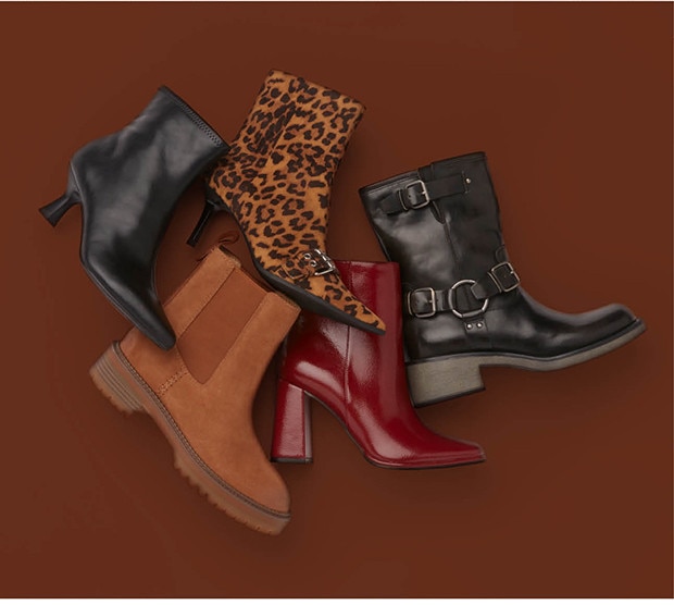 Newsletter content from dsw