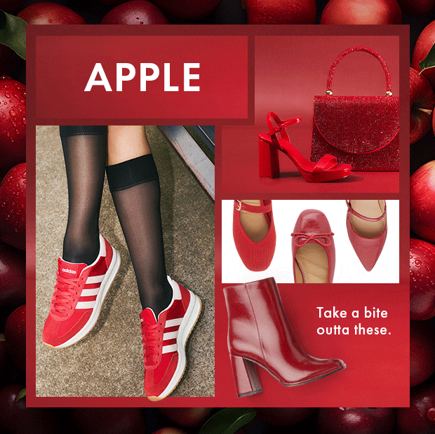 Newsletter content from dsw