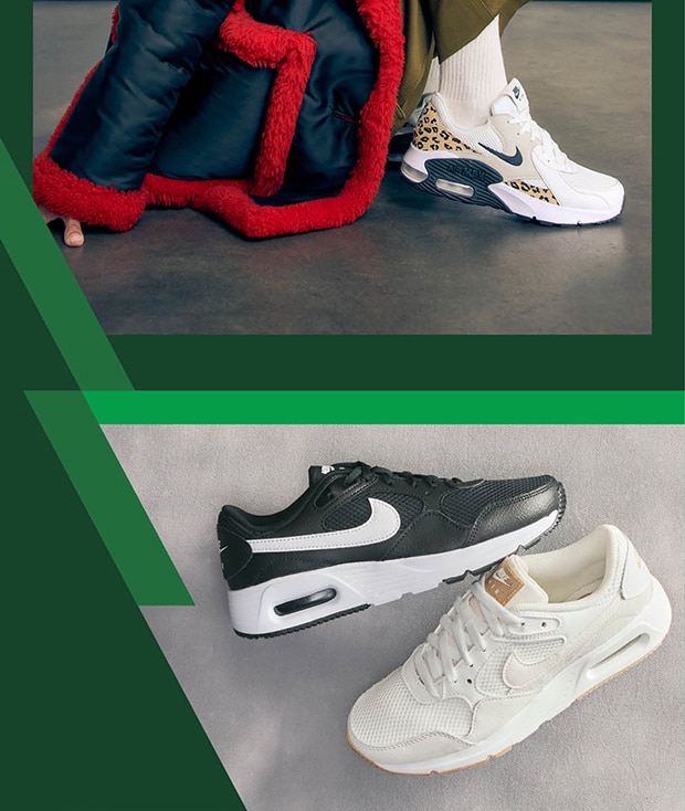 Newsletter content from dsw