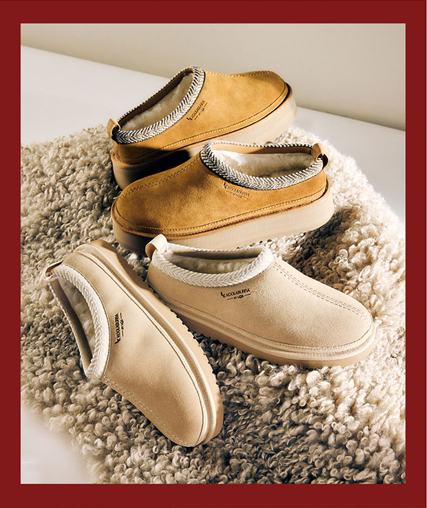 Newsletter content from dsw