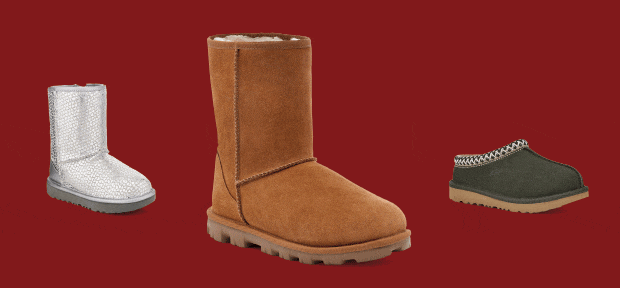 Newsletter content from dsw