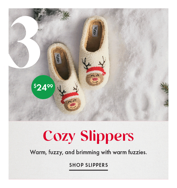 Newsletter content from dsw