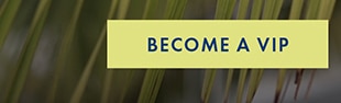 BECOME A VIP