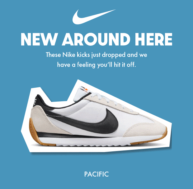 Newsletter content from dsw