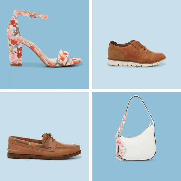 Newsletter content from dsw