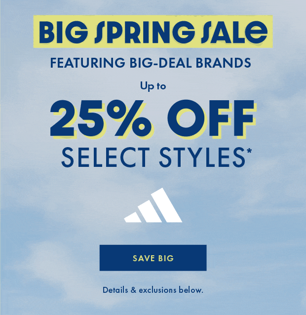Newsletter content from dsw