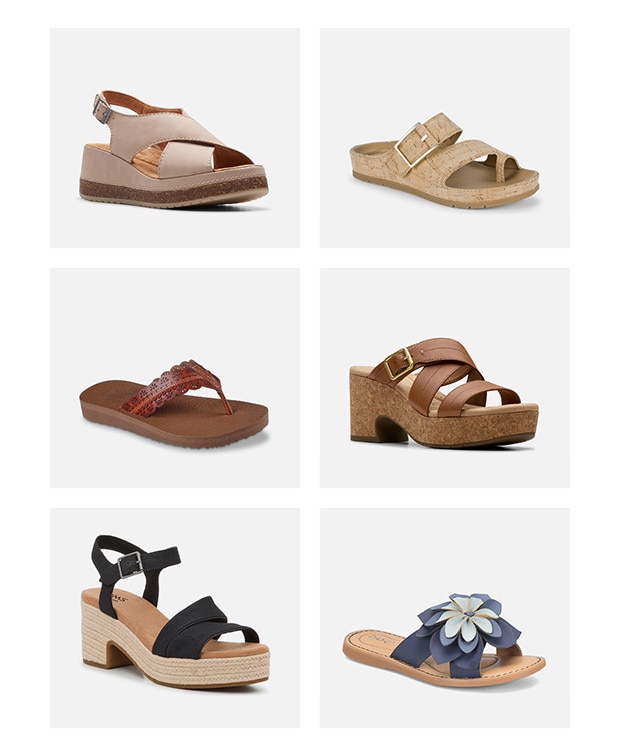 Newsletter content from dsw